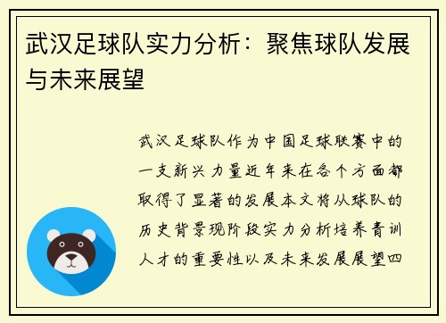 武汉足球队实力分析：聚焦球队发展与未来展望