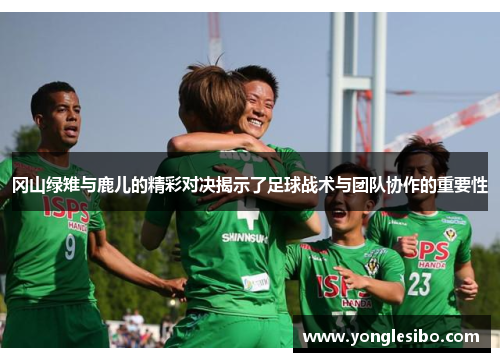 冈山绿雉与鹿儿的精彩对决揭示了足球战术与团队协作的重要性